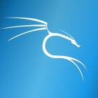 Kali Linux 是什么，你需要它吗？