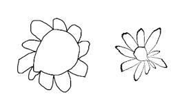 Sunflower turned into a daisy with r -> r cubed Sunflower turned into a daisy with r -> r cubed
