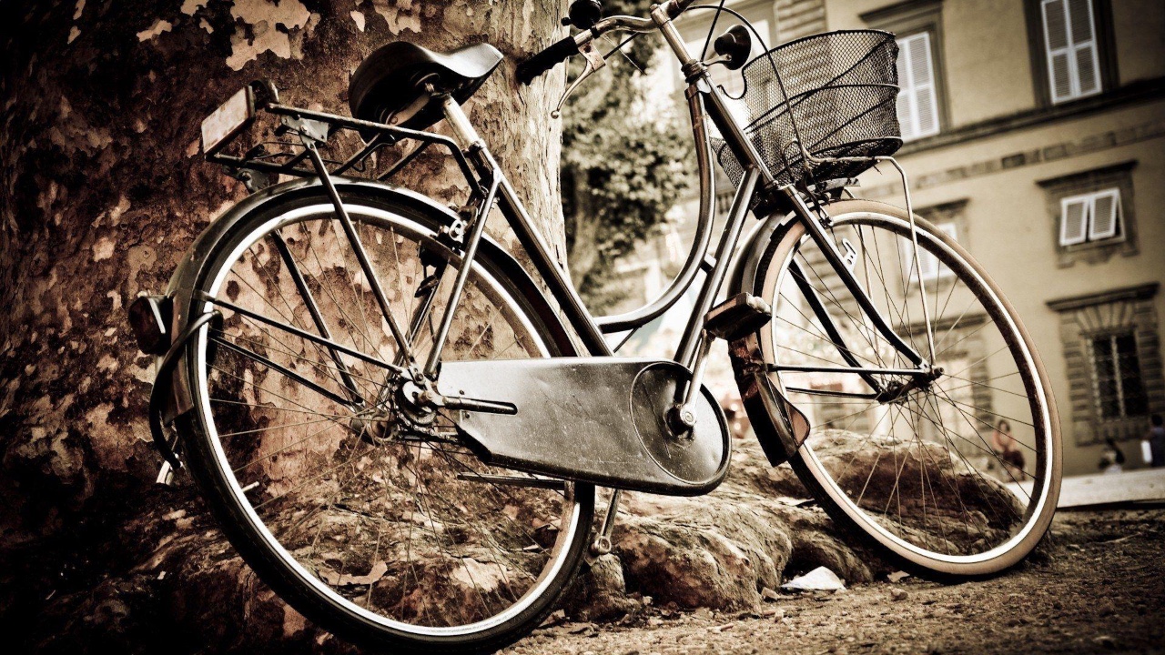 Person using a laptop