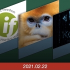 硬核观察 | 西北大学开发出猴脸识别系统