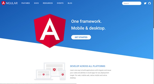 Angular homepage Angular homepage