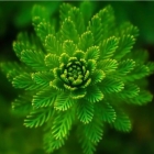 浅谈慢速的二次算法与快速的 hashmap