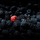 树莓派 3 还是 4：你应该买哪一个？