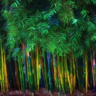 如何在 Linux 中挂载 Bitlocker 加密的 Windows 分区