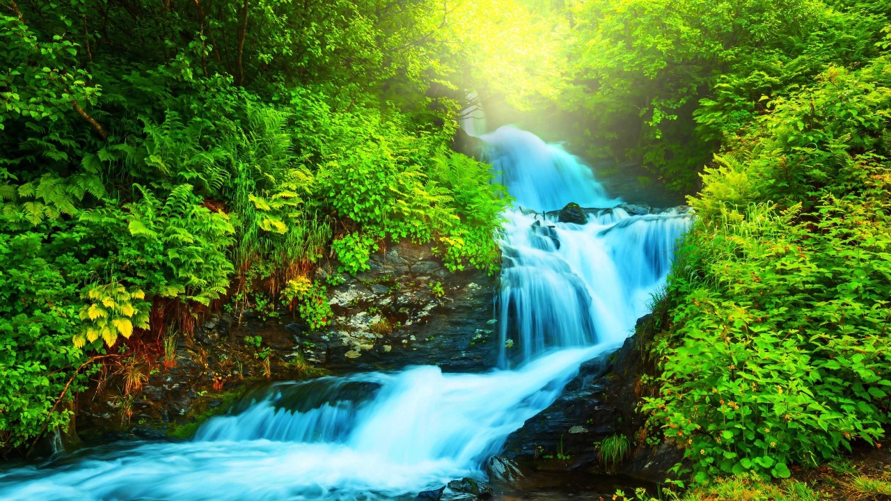 FreeDOS fish logo and command prompt on computer